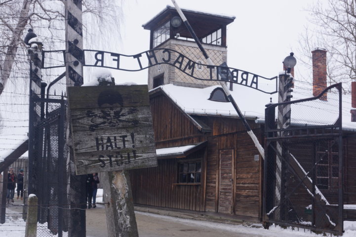 Auschwitz-Birkenau Jahrestag der Befreiung