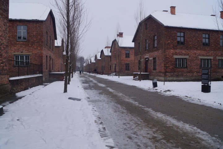 Auschwitz-Birkenau Jahrestag der Befreiung