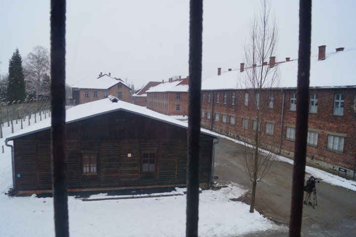 Auschwitz-Birkenau Jahrestag der Befreiung