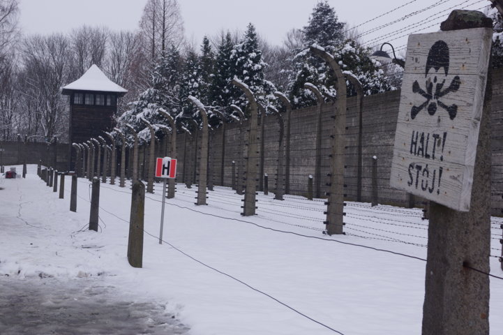 Auschwitz-Birkenau Jahrestag der Befreiung