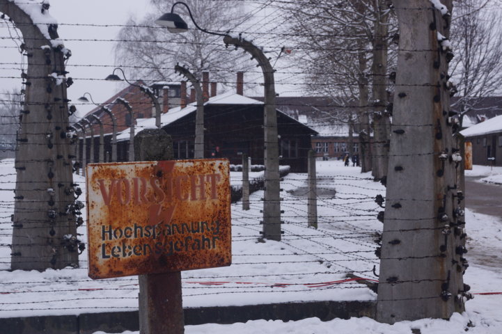 Auschwitz-Birkenau Jahrestag der Befreiung