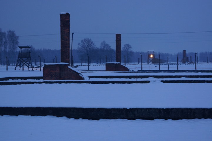 Auschwitz-Birkenau Jahrestag der Befreiung