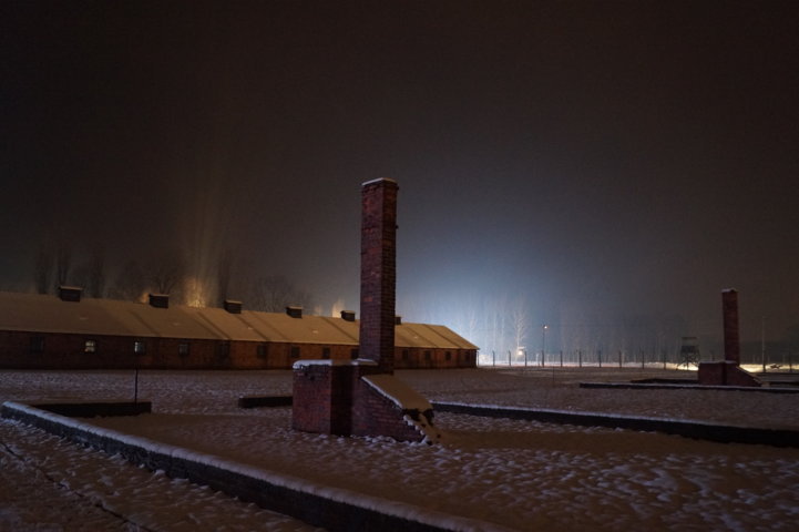 Auschwitz-Birkenau Jahrestag der Befreiung