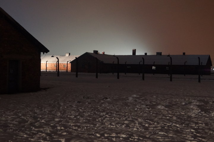 Auschwitz-Birkenau Jahrestag der Befreiung