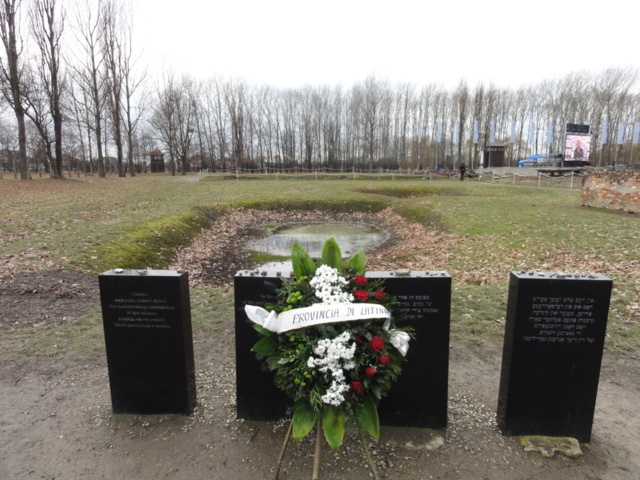 Auschwitz-Birkenau Jahrestag der Befreiung