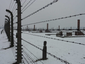 Auschwitz-Birkenau Ruinen der Baracken im Bauabschnitt B3