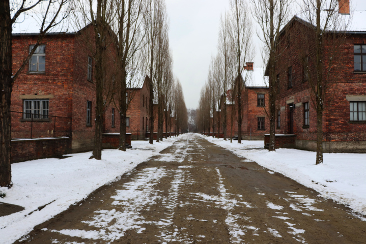 76. Jahrestag der Befreiung des Konzentrations- und Vernichtungslager Auschwitz-Birkenau