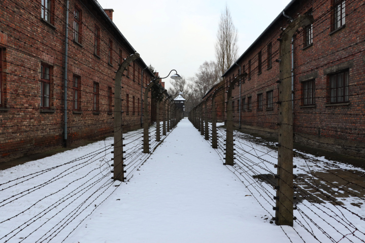 76. Jahrestag der Befreiung des Konzentrations- und Vernichtungslager Auschwitz-Birkenau