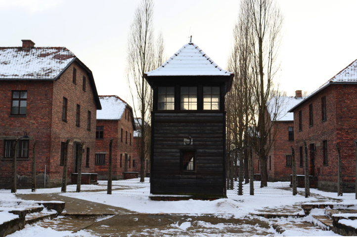 76. Jahrestag der Befreiung des Konzentrations- und Vernichtungslager Auschwitz-Birkenau