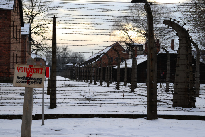 76. Jahrestag der Befreiung des Konzentrations- und Vernichtungslager Auschwitz-Birkenau