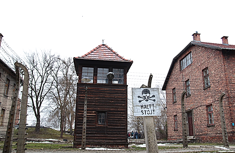 78. Jahrestag der Befreiung von Auschwitz_05