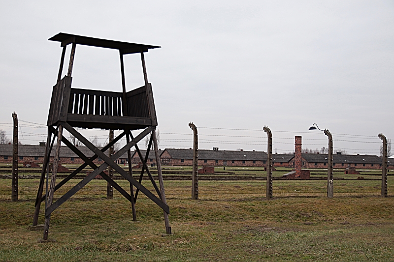78. Jahrestag der Befreiung von Auschwitz_09