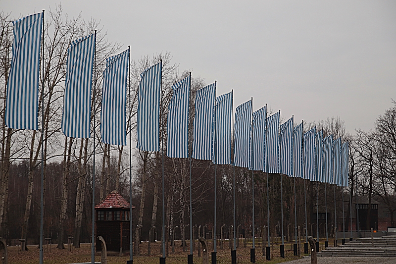 78. Jahrestag der Befreiung von Auschwitz_13