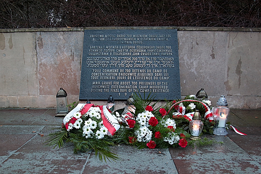 79. Jahrestag der Befreiung von Auschwitz_01