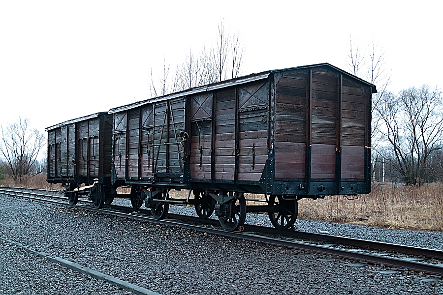 79. Jahrestag der Befreiung von Auschwitz_02